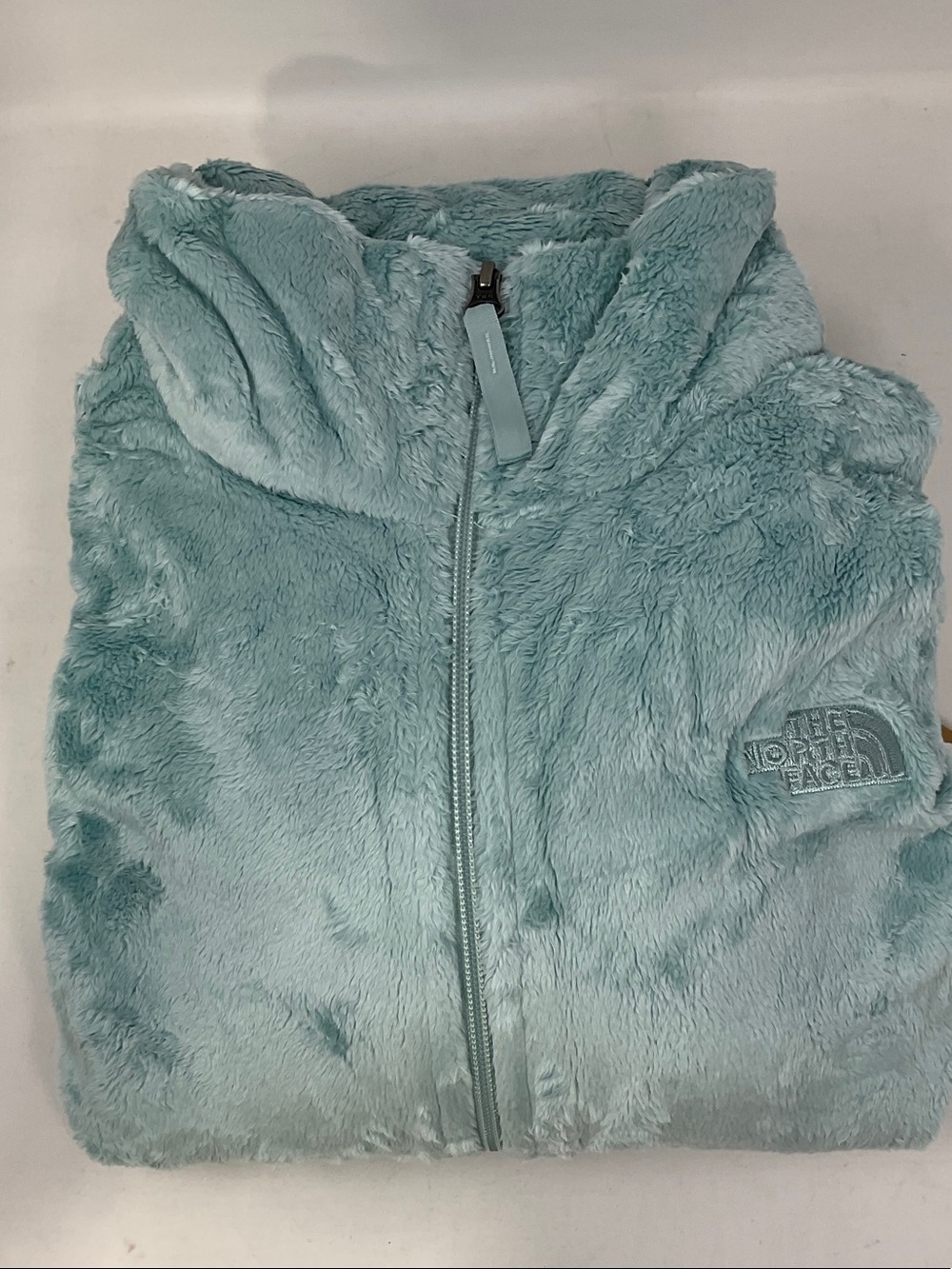 The North Face Plush Hooded Jacket in Aqua Blue